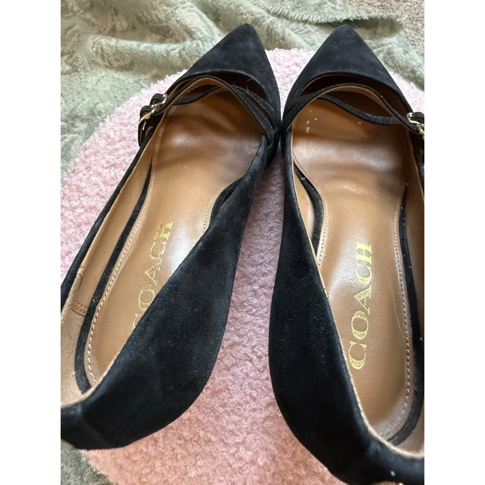 Coach Black Suede Pointed Toe Kitten Heel Pumps Buckle Accent Size 7 B - Picture 5 of 6